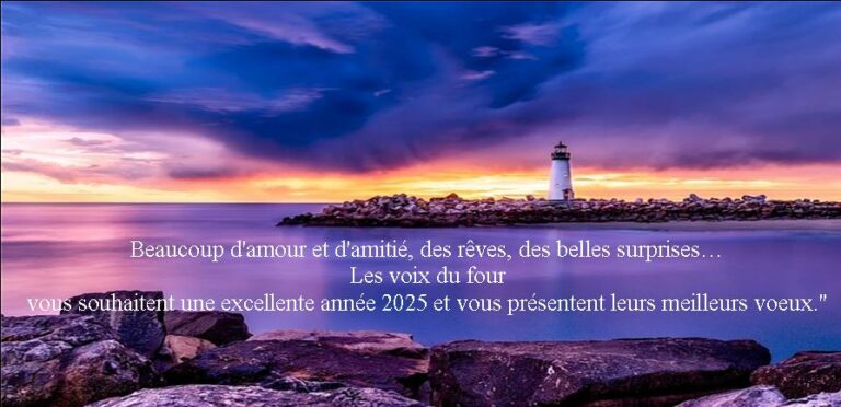 Bonne année 2025